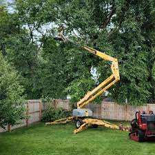 Seasonal Cleanup (Spring/Fall) in Bertram, TX